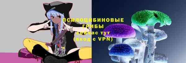прущий лед Вязники