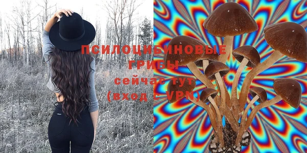 наркотики Вяземский