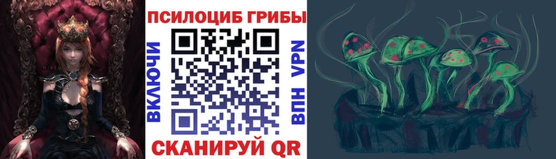 где купить наркоту  Ишим  Псилоцибиновые грибы ЛСД 