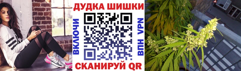 МАРИХУАНА SATIVA & INDICA  дарнет шоп  Ишим 